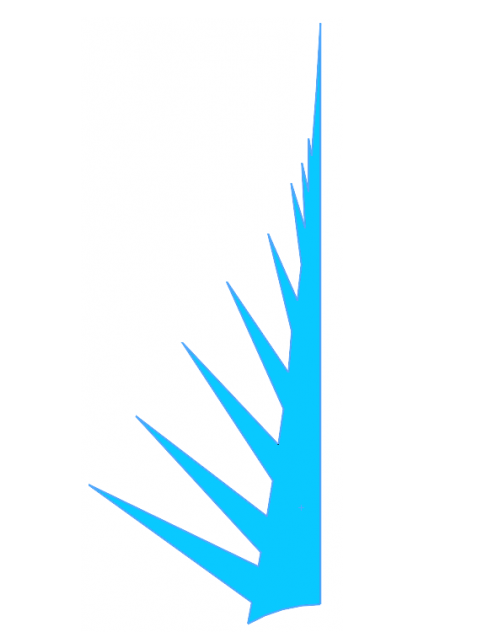 1574909936.png image.png