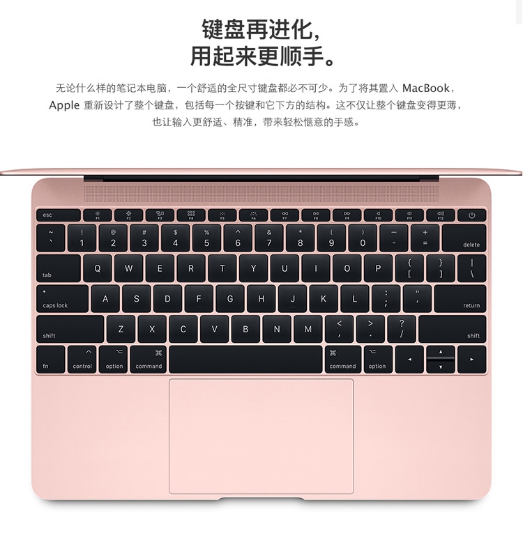 d2451d18f7a44f11acb2e95fc3f13cd4o.jpg d2451d18f7a44f11acb2e95fc3f13cd4o.jpg