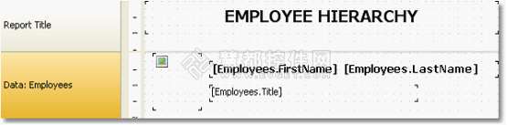 FastReport.NET报表控件使用教程 - 层次结构的打印