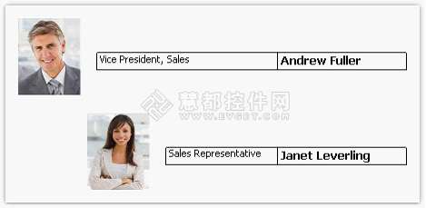 FastReport.NET报表控件使用教程 - 层次结构的打印