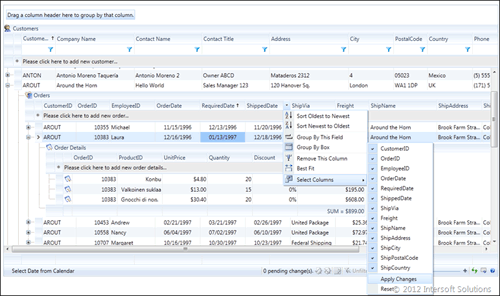 intersoft,WebCombo,WebGrid Enterprise,HTML5,WebUI Studio